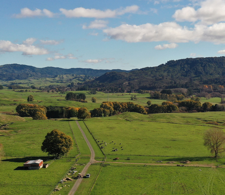 Farm Consulting in New Zealand